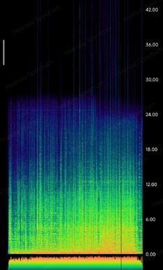 Hearusy Spectrum