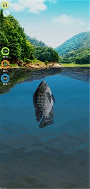 天天钓鱼安卓版