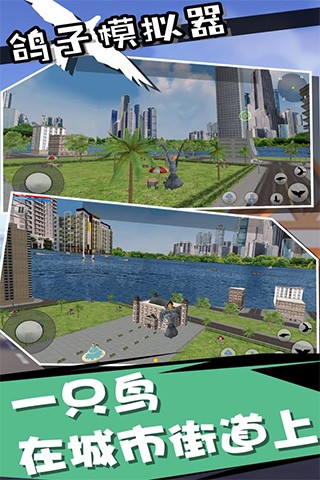 鸽子模拟器中文版