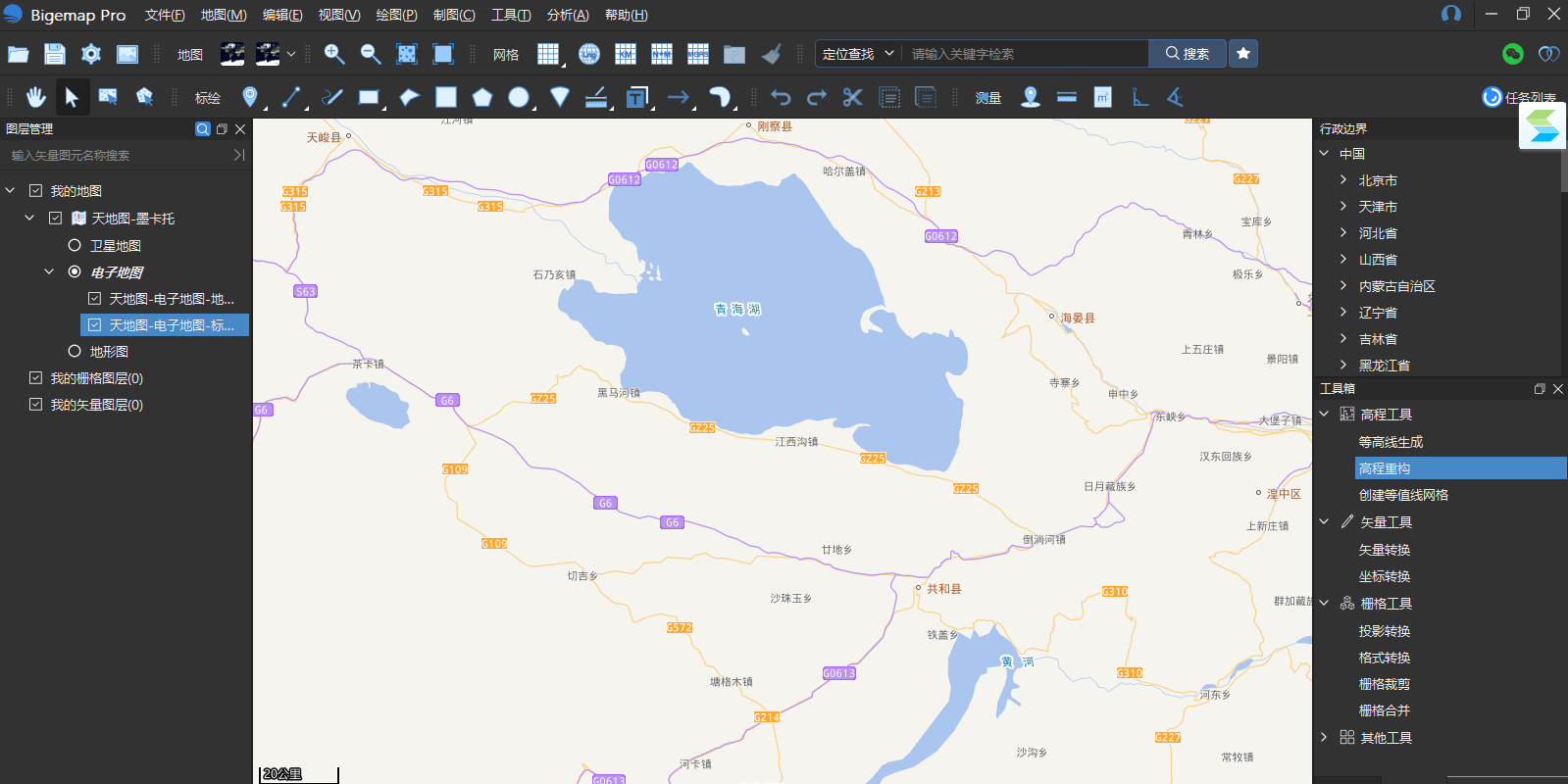 Bigemap Pro