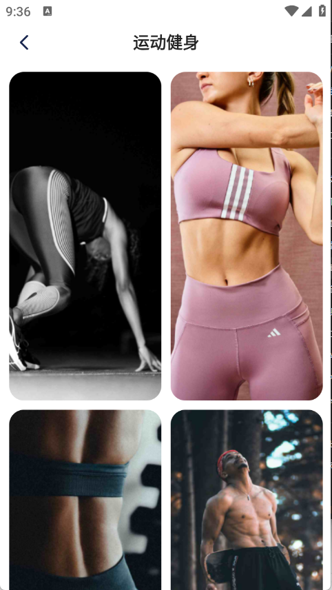 灵蝶壁纸app最新版下载