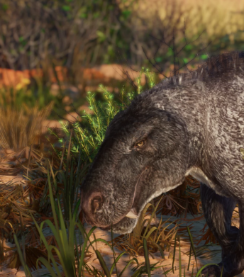 动物园之星安卓版下载