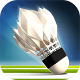 羽毛球高高手2021