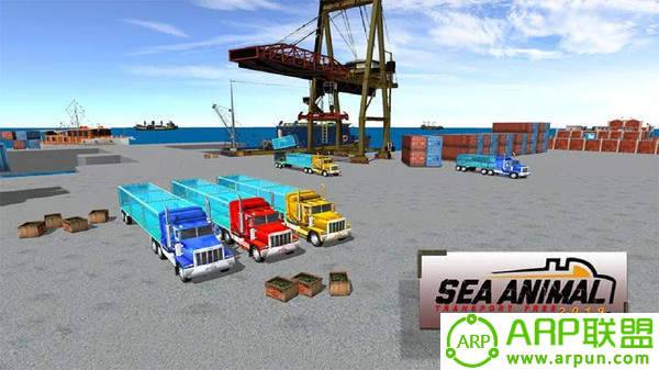 海洋动物运输模拟器