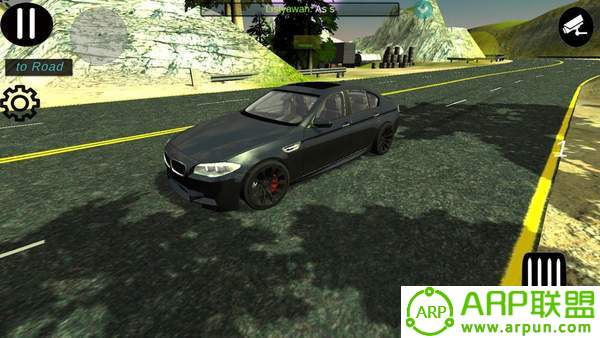 多人停车(Car Parking)