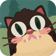 奇怪的猫(CuriousCat)