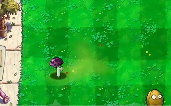 植物大战僵尸胆小菇之梦免费版