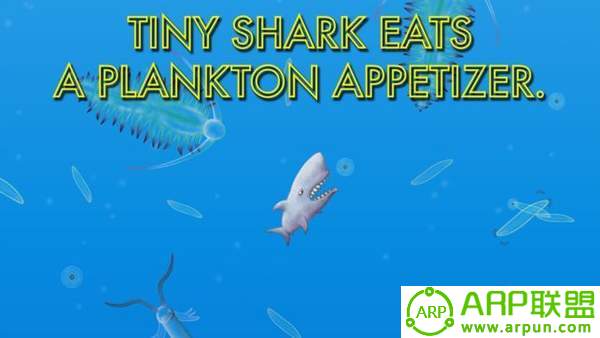 美味鲨鱼(Tasty Blue)