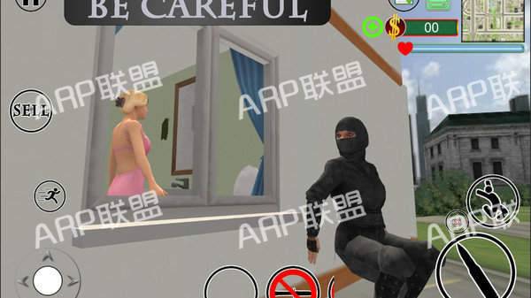 职业盗贼模拟器
