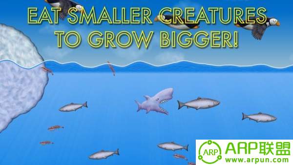 美味鲨鱼(Tasty Blue)