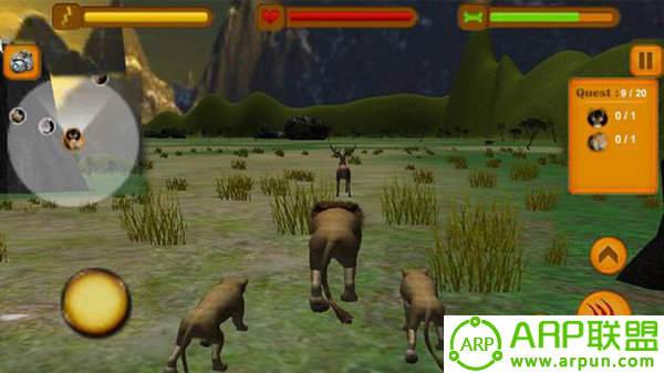 狮子追求模拟器