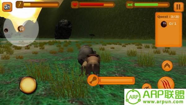 狮子追求模拟器