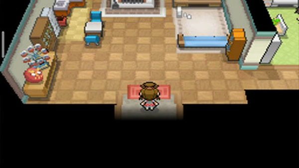 口袋妖怪超透黑2手机版