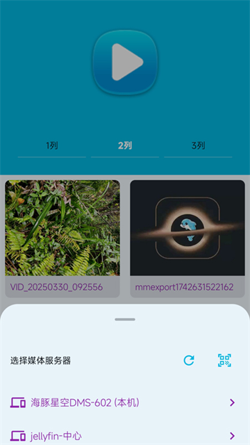 海豚星空投屏TV版