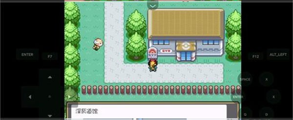 口袋妖怪燃之智汉化版