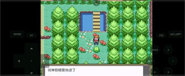 口袋妖怪燃之智汉化版