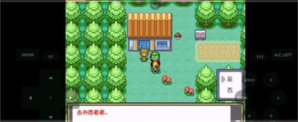 口袋妖怪燃之智汉化版