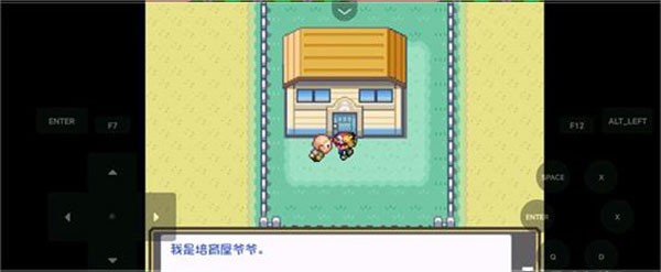 口袋妖怪燃之智汉化版