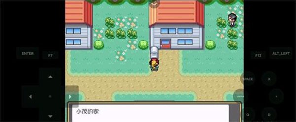 口袋妖怪燃之智汉化版