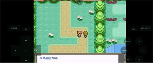 口袋妖怪燃之智汉化版