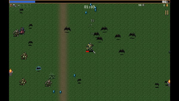 吸血鬼幸存者国际版