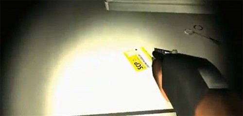 标本零虫虫汉化版