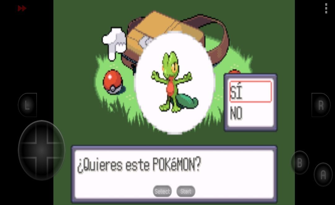 口袋妖怪红宝石中文版4.9.9.6最新版