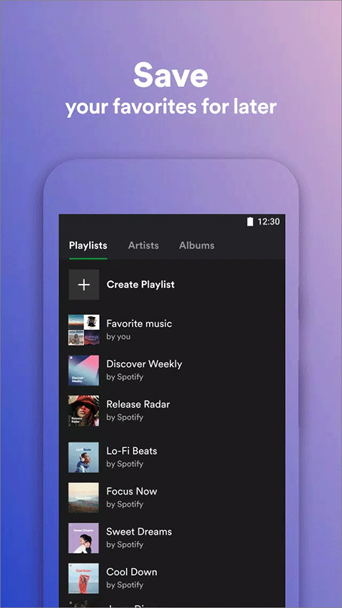 Spotify Lite精简版app