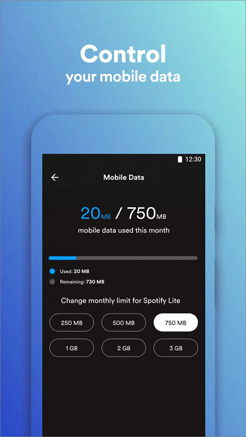 Spotify Lite精简版app