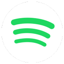 Spotify Lite精简版app