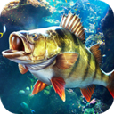 欢乐钓鱼大师内置作弊菜单