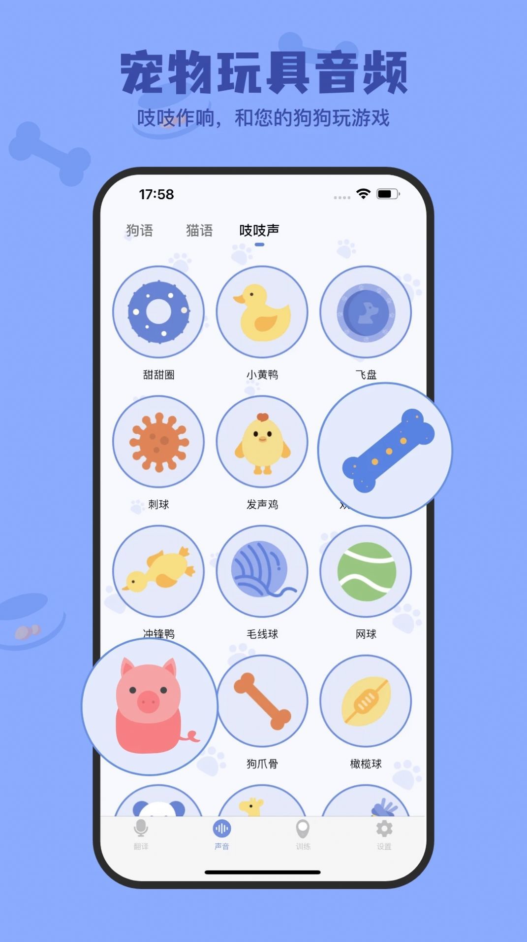 小白交流翻译