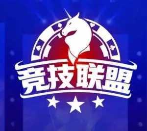 sohoo竞技联盟德州2026